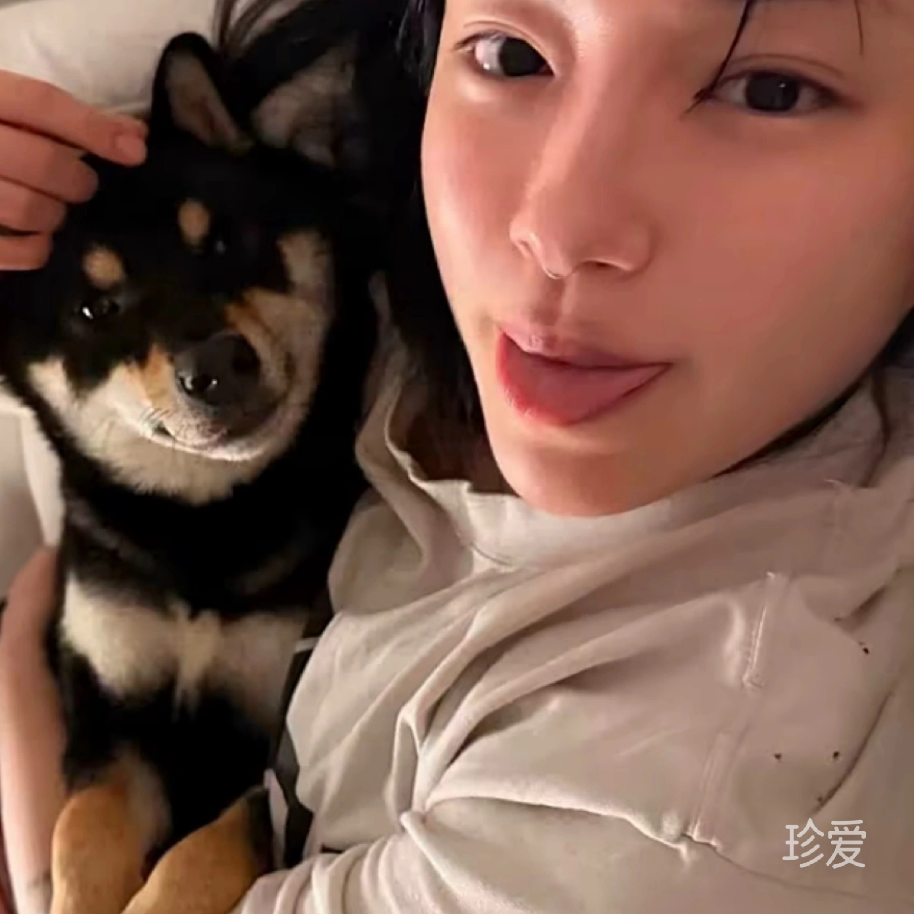 凌儿