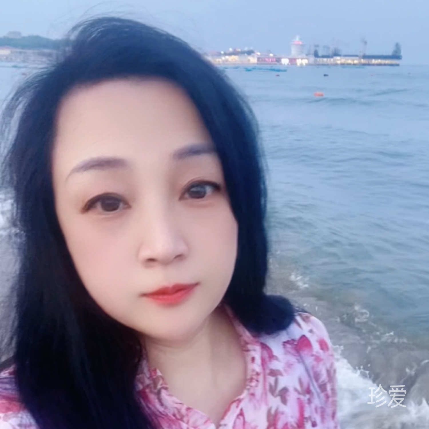紫鸢