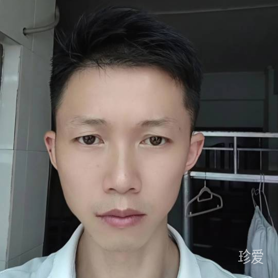 如茶如诗