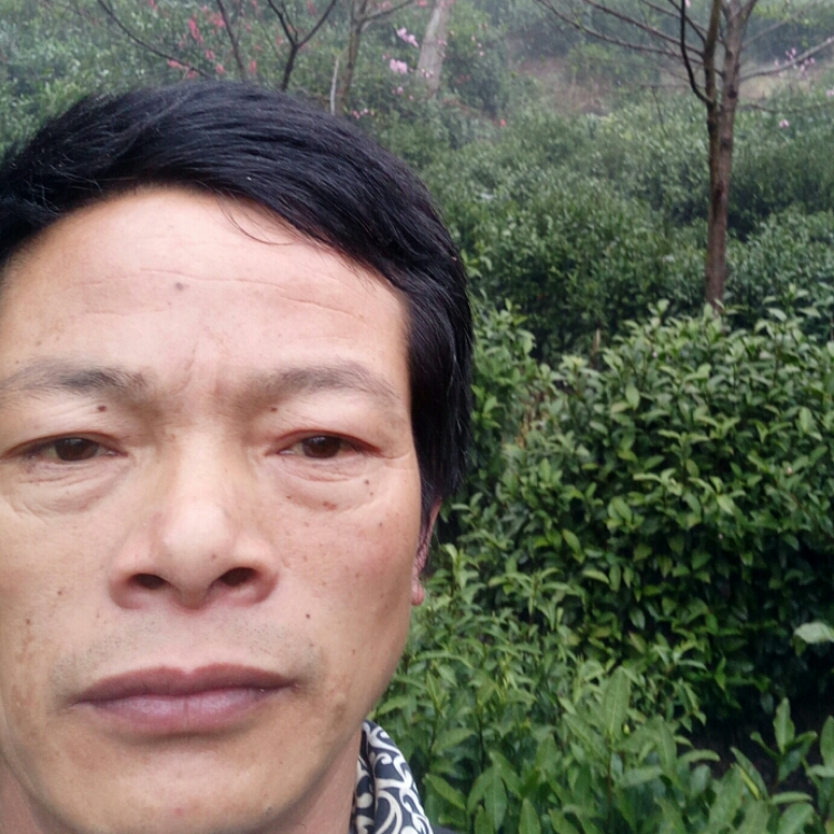 因为有你让我奋斗