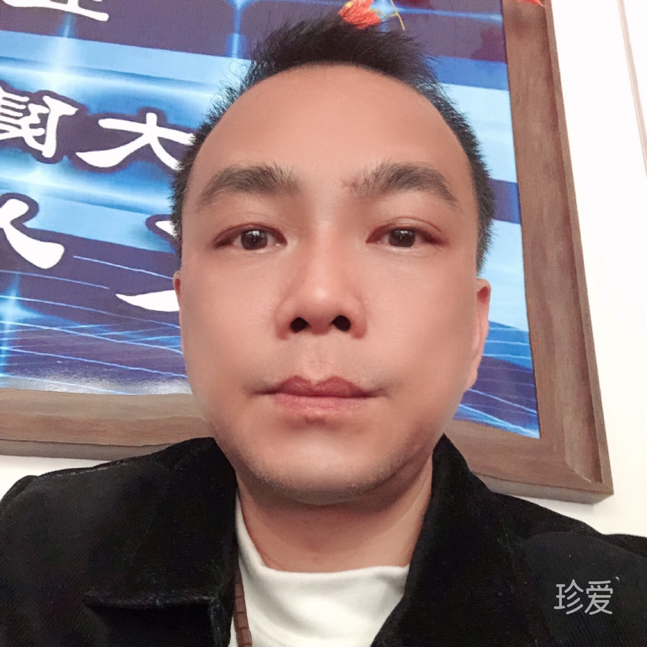 冬天里綻放的白玫