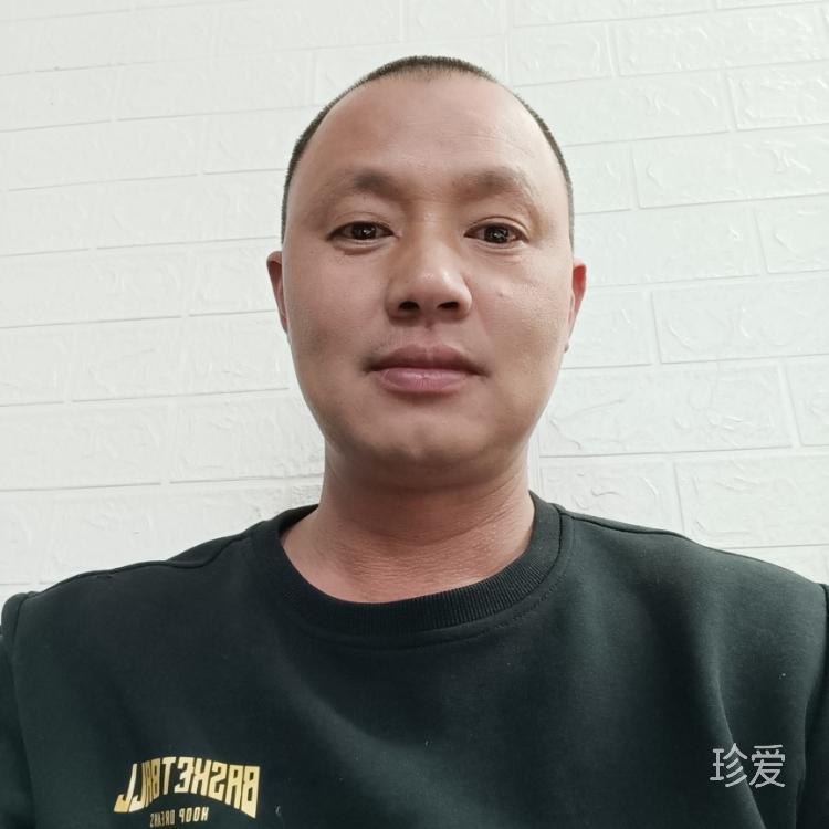 雨落青苔起相思