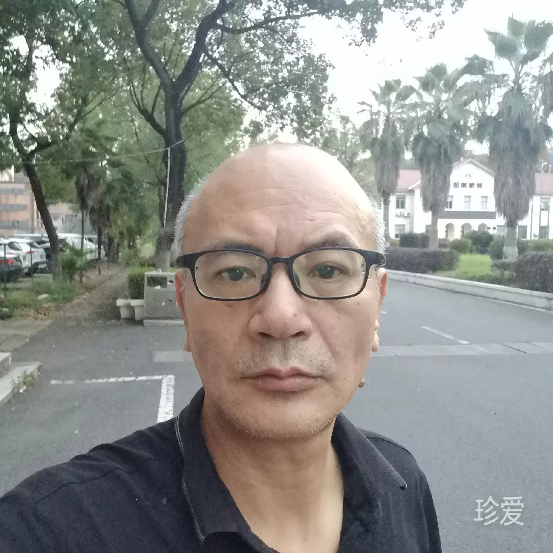 自由的代价