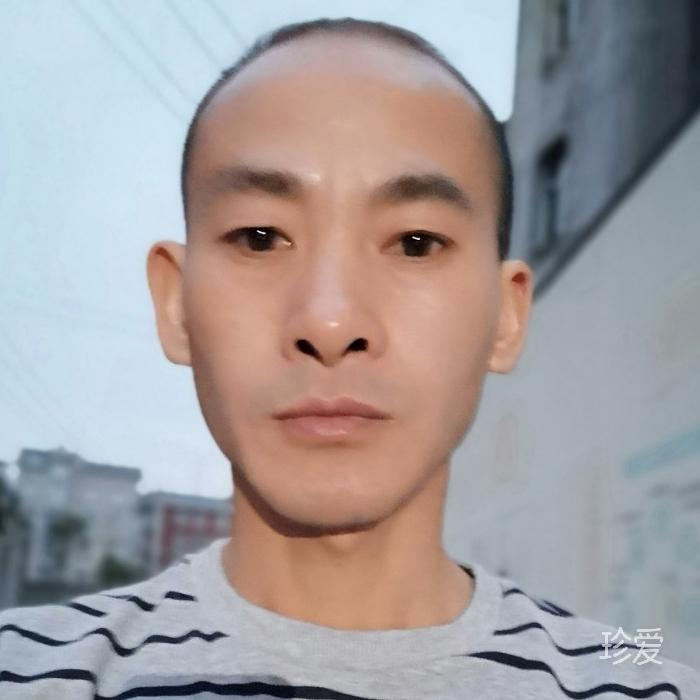 我很丑但我很温柔