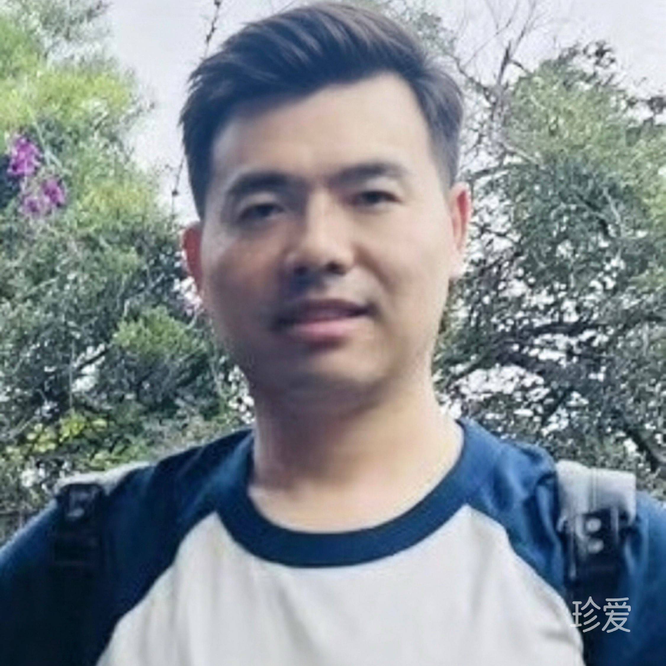 一盏茶
