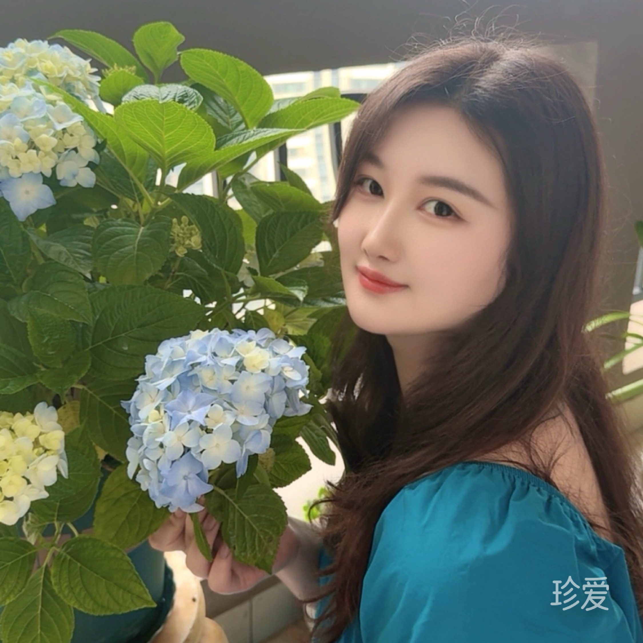 爱伸懒腰的猫