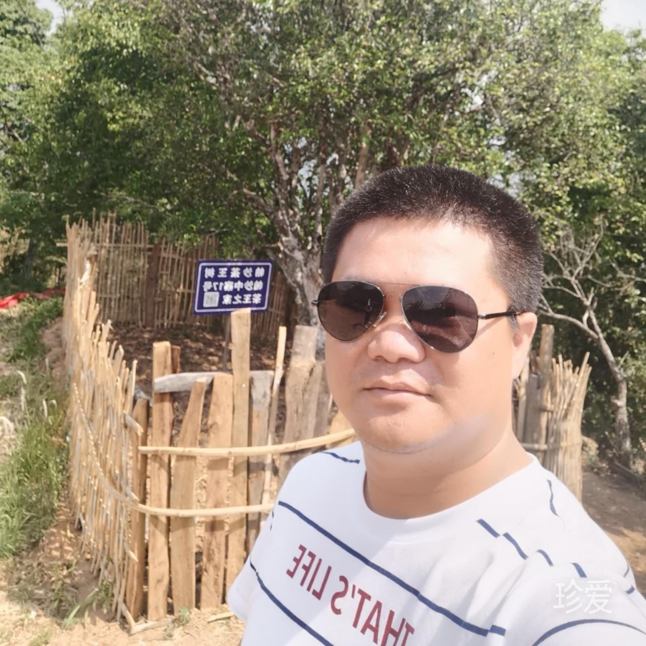 辛金守拙