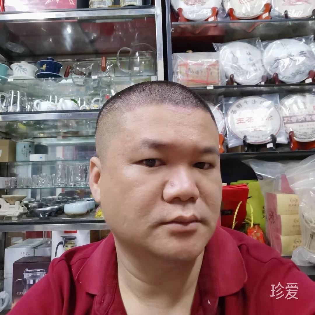 辛金守拙