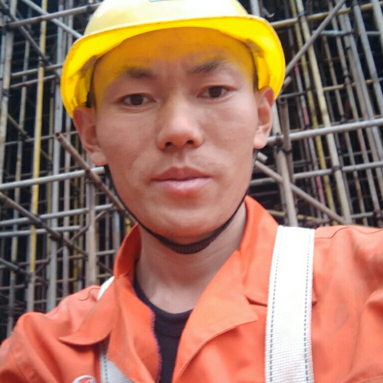 问世间情为何物