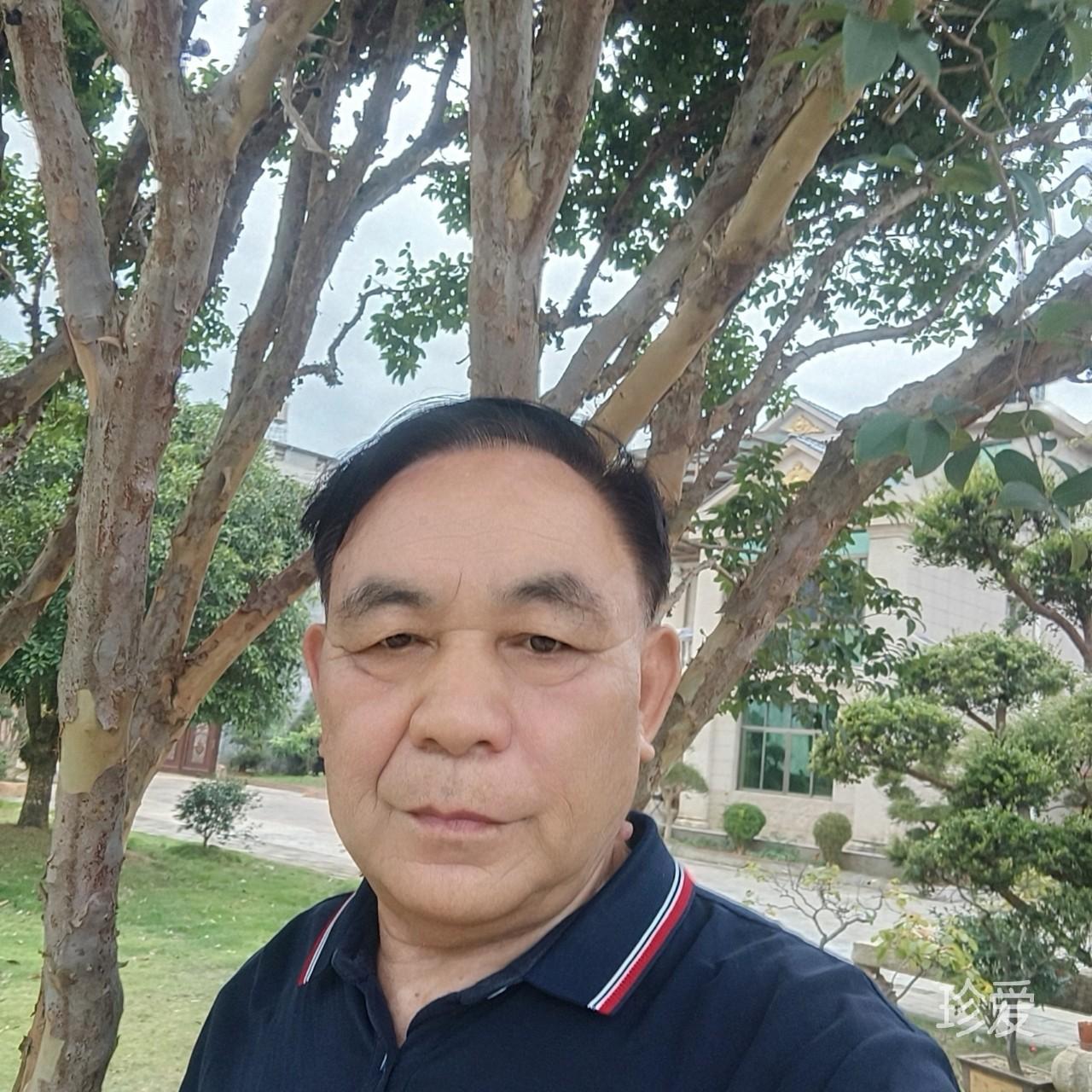 做你的开心果