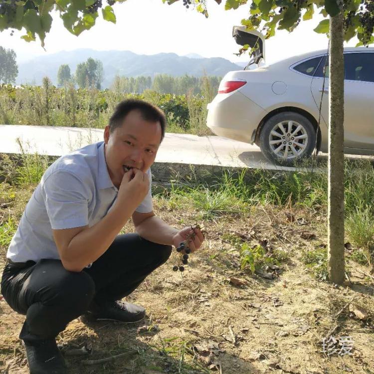 夕陽(yáng)的柔光