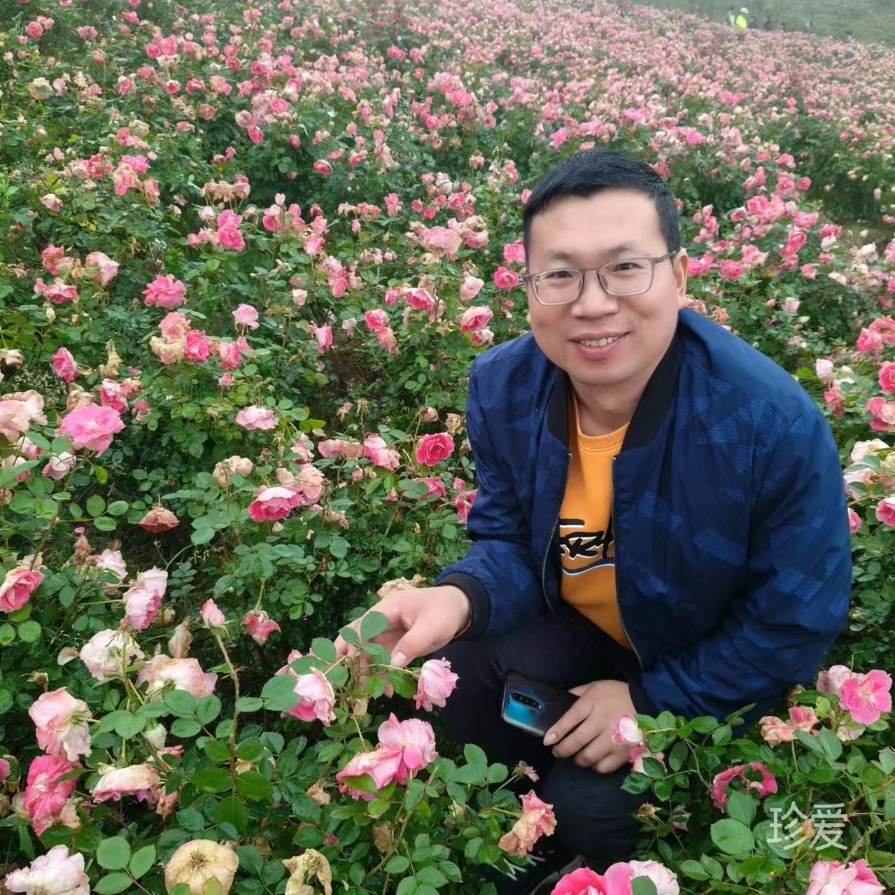 清风圆月