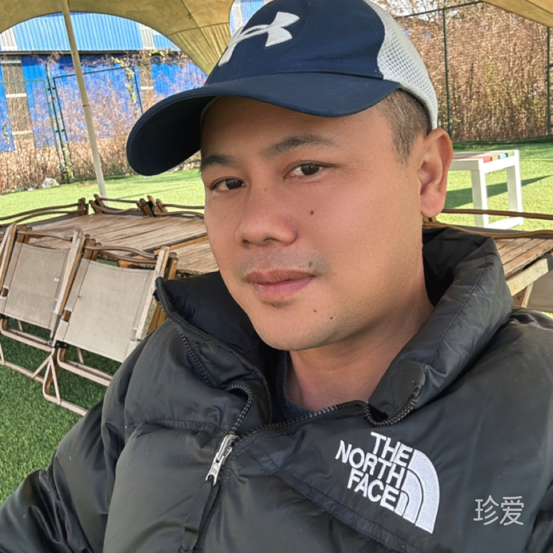 陆遥之马力