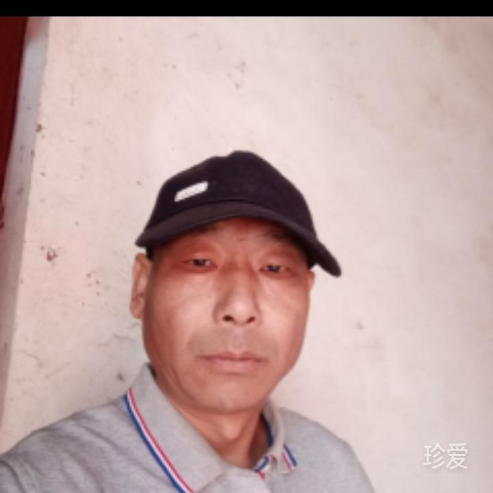 让爱做主