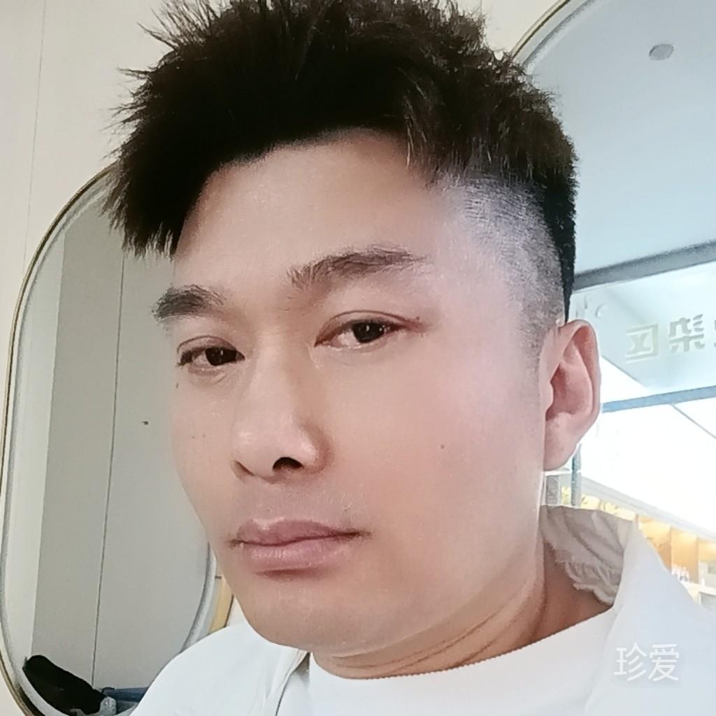 网事如风