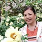單飛啊姨