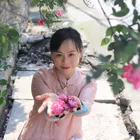 傲娇的小土豆