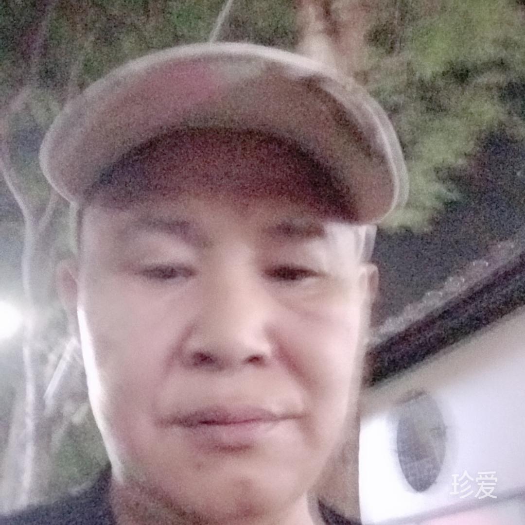 真心寻缘