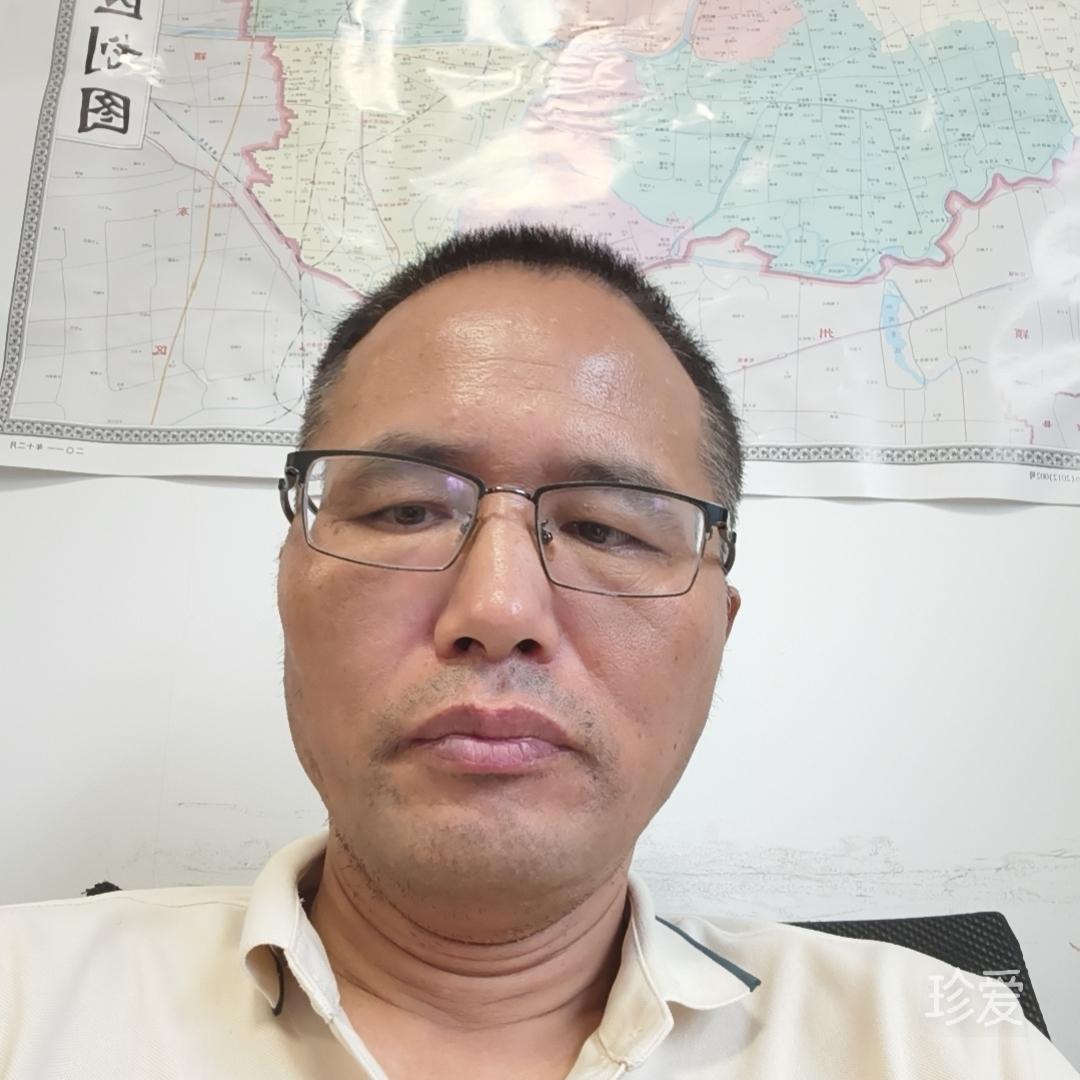 孤鸿傲苍穹