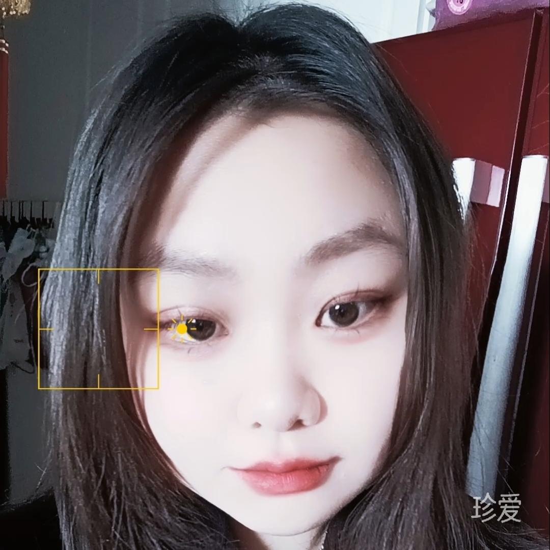 下雨天的小蘑菇