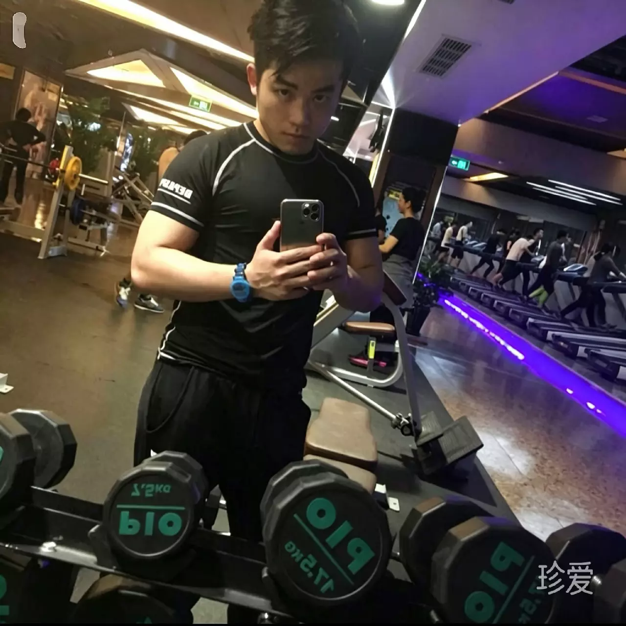 庆归尘
