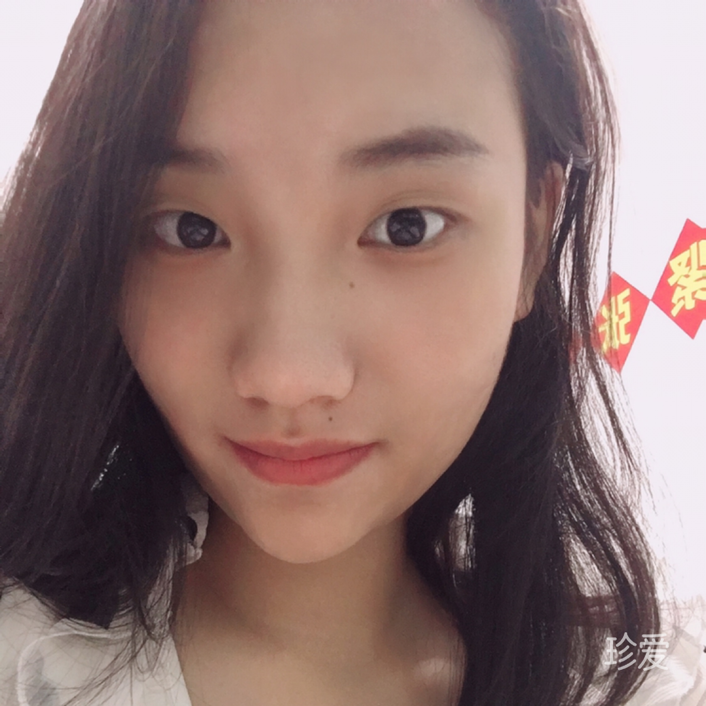 刺猬的優(yōu)雅