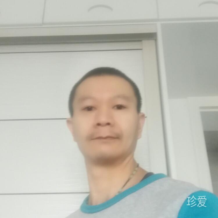 愛來愛去總是傷