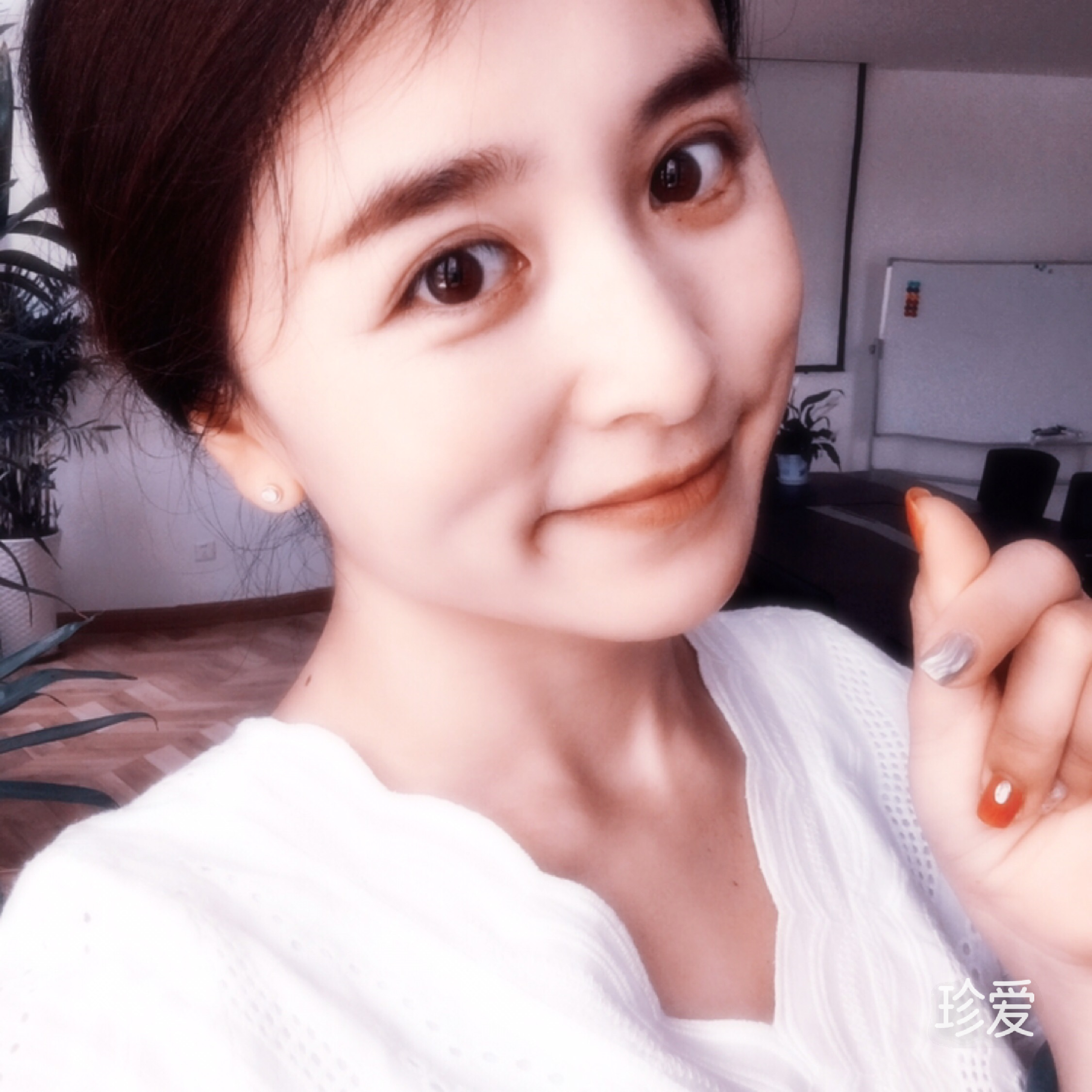 cc文