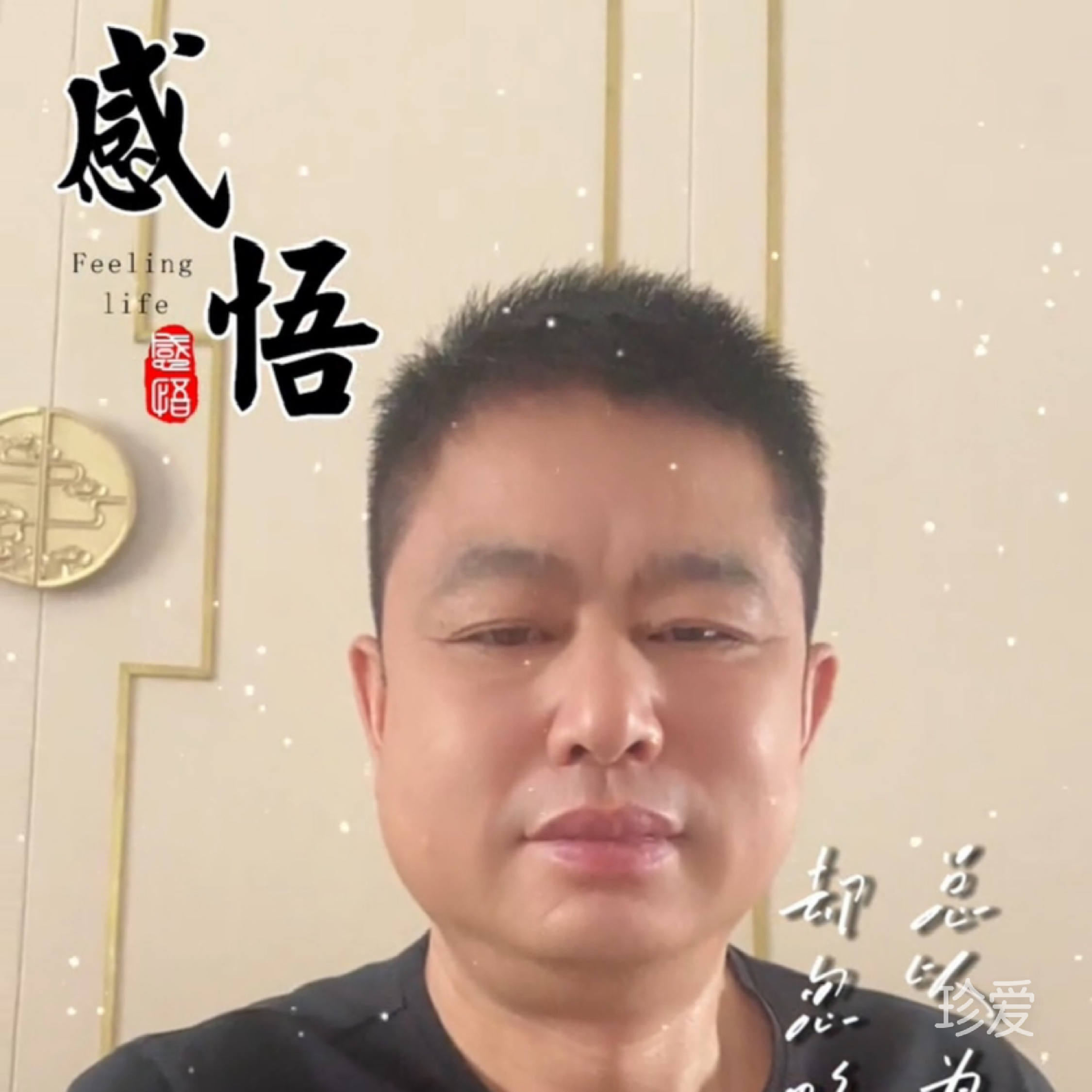 风的寂寞