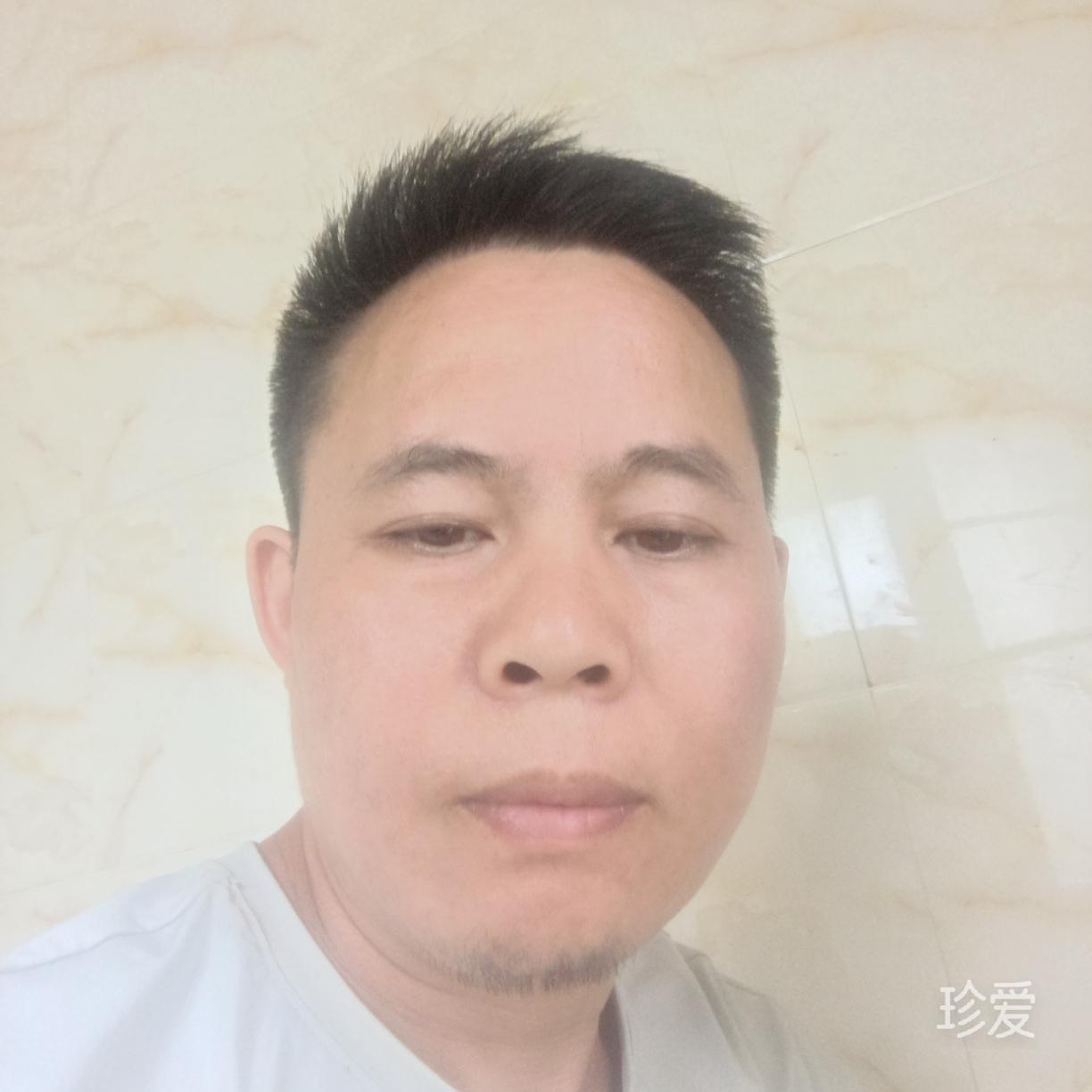 坐看风云起