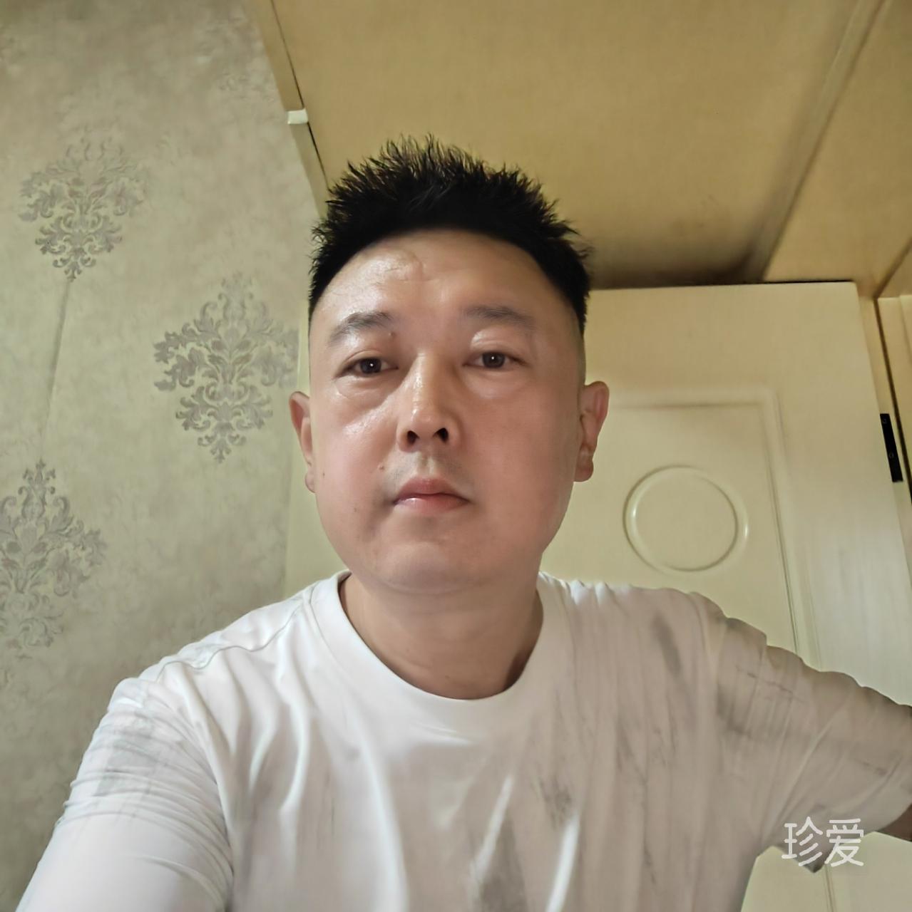 潇洒树叶