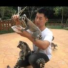 真誠(chéng)的人兒