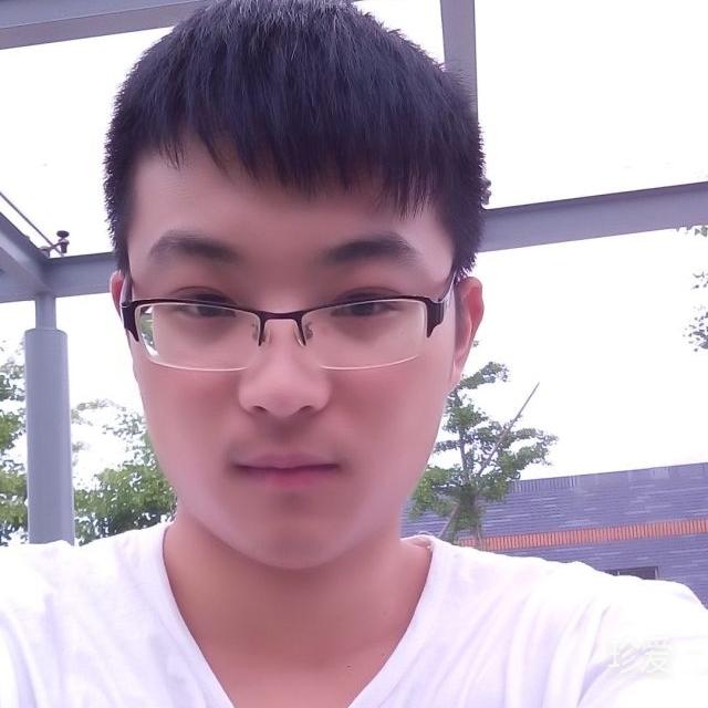 翟业林