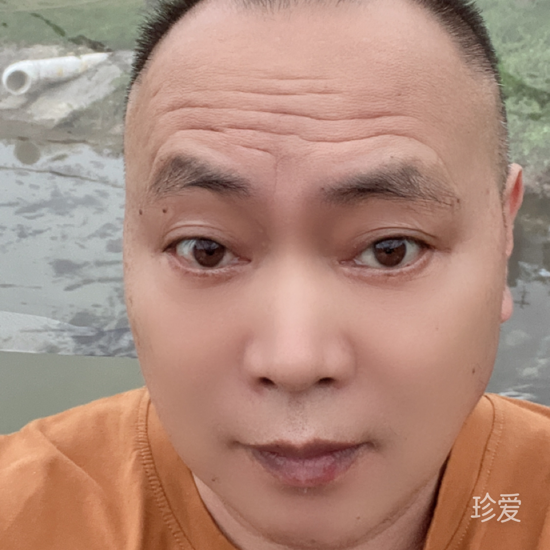 青春易驻