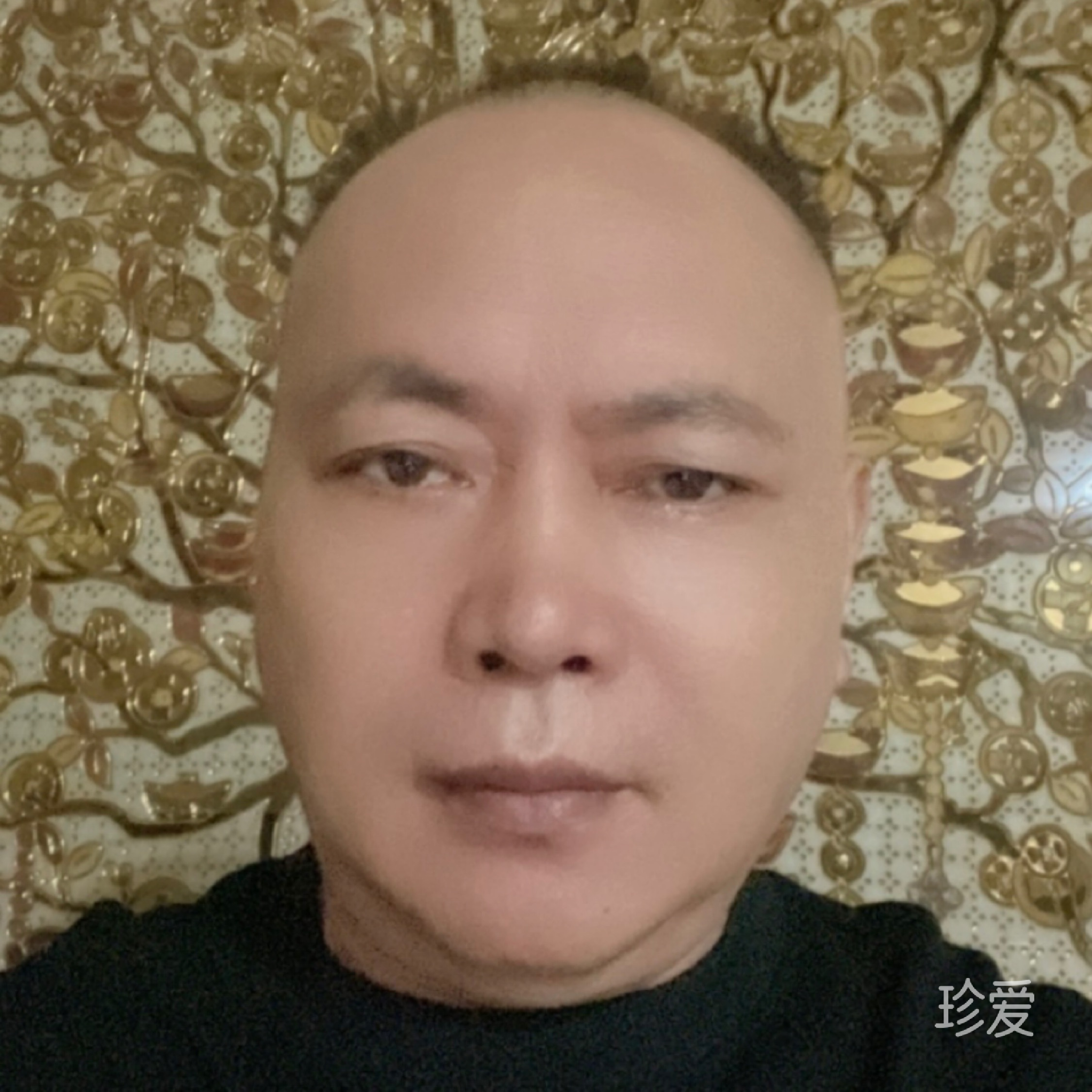 青春易驻