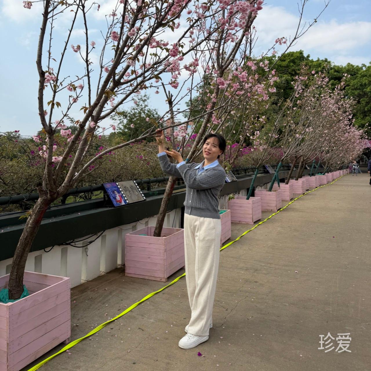 风中微笑