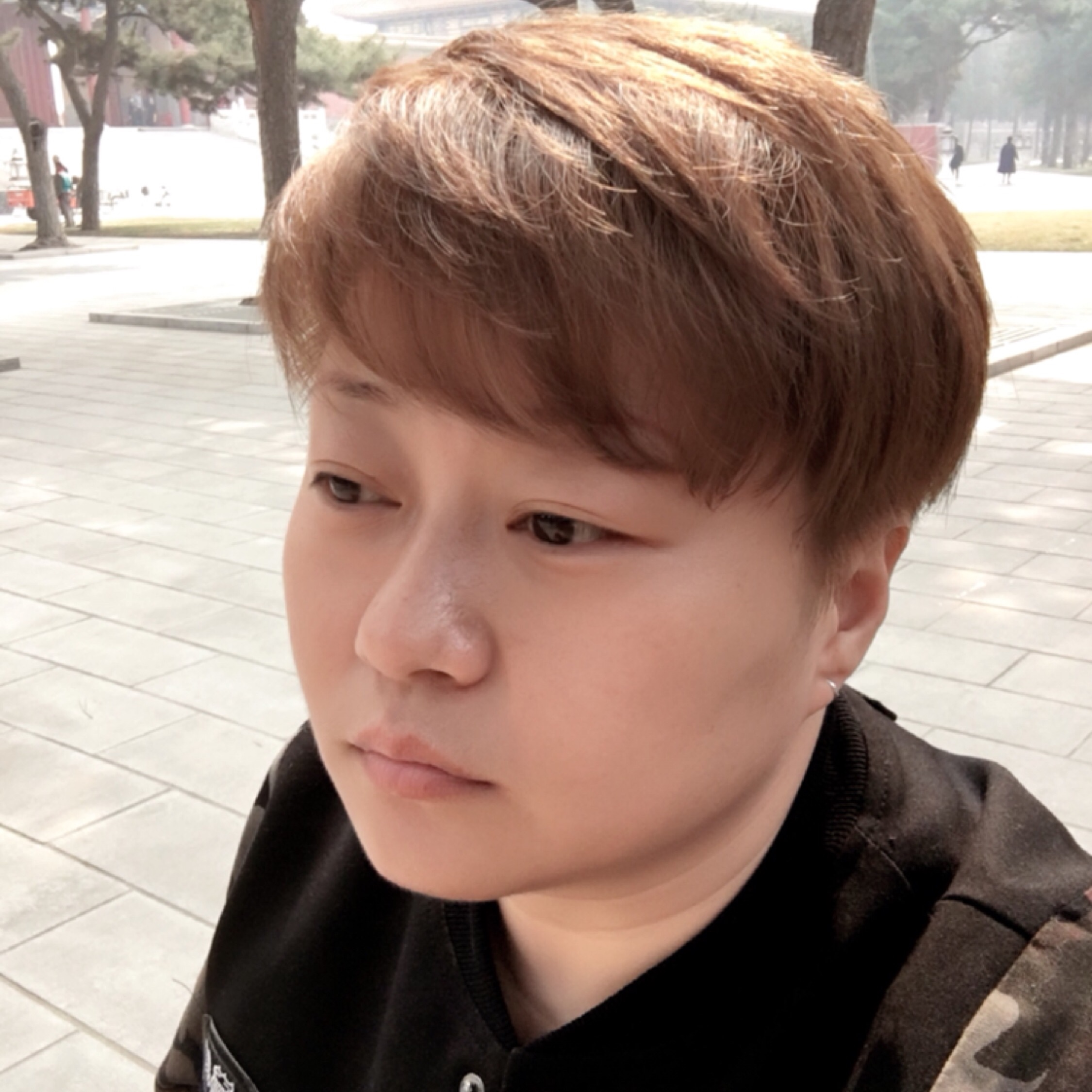 樹懶一樣的人生