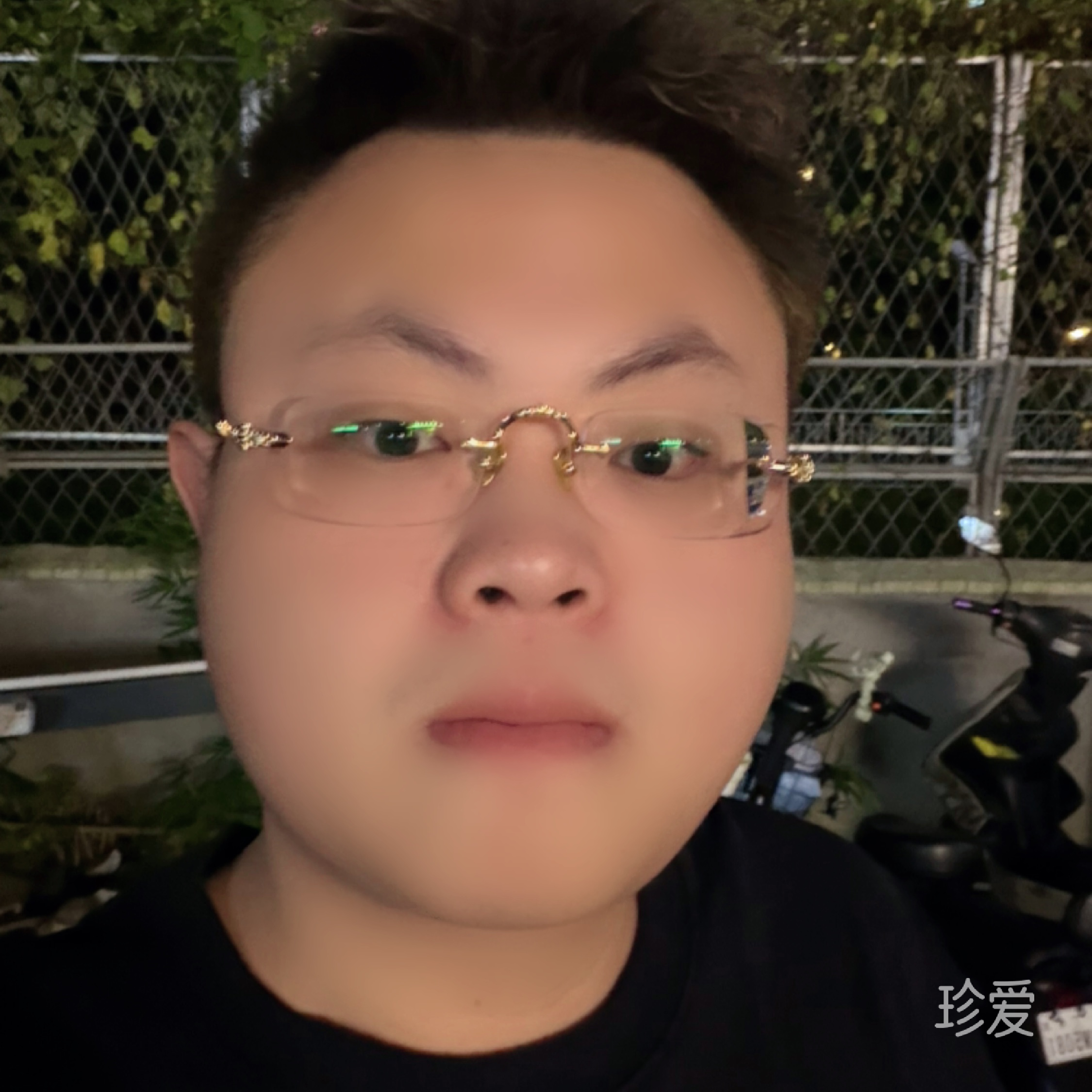 李公子