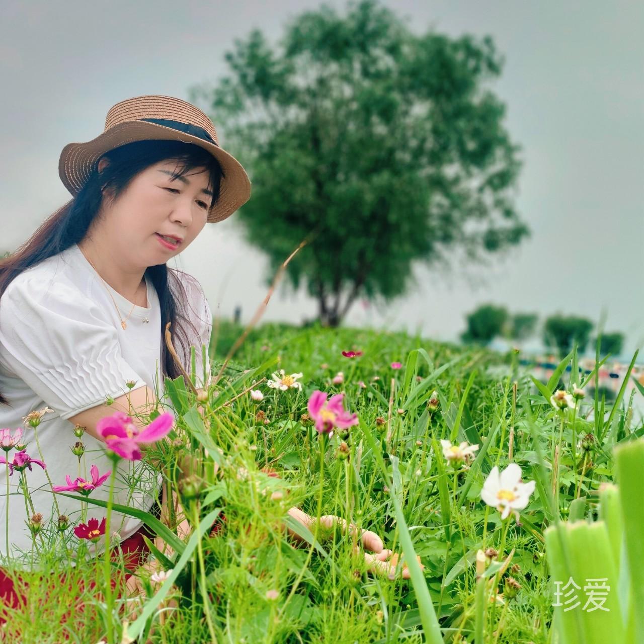 自由自在