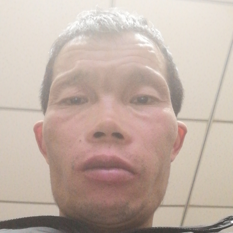 找個過年回家的