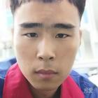 仙人掌