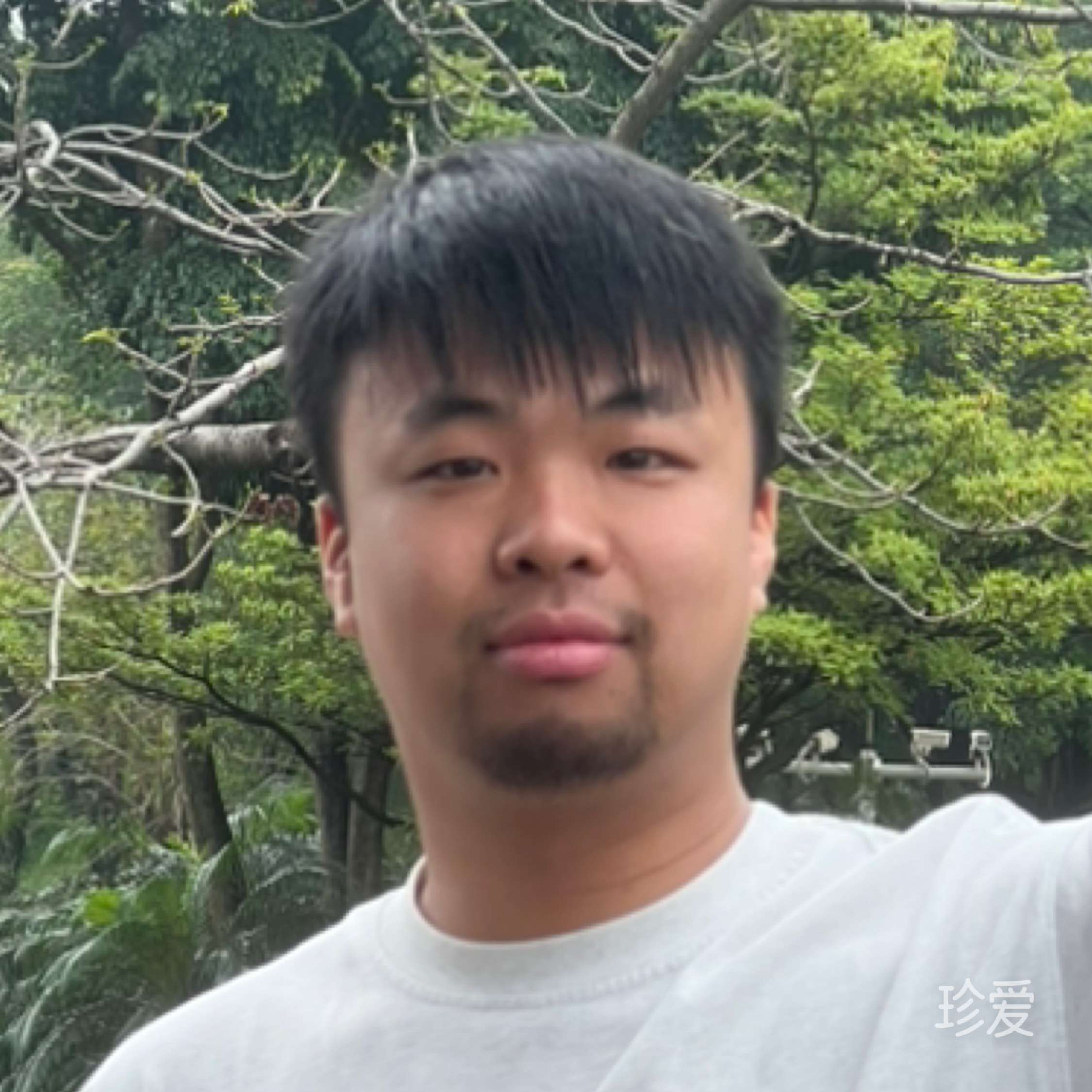 大方鲫鱼