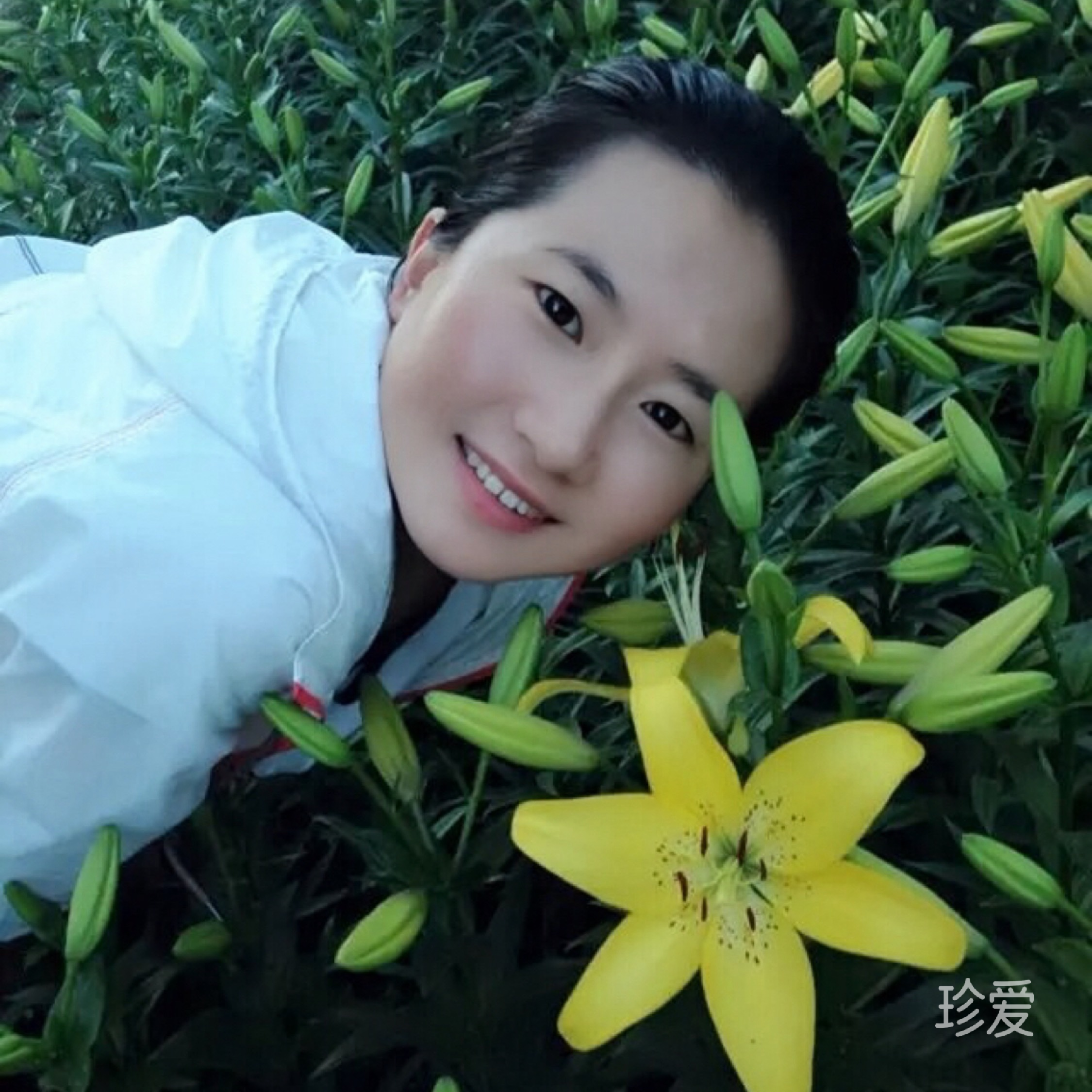 大圆