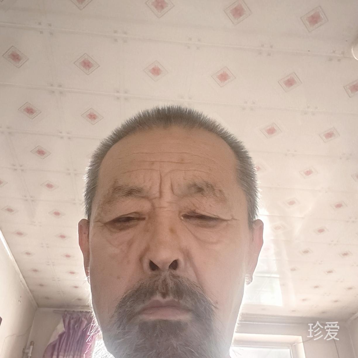 养羊达人