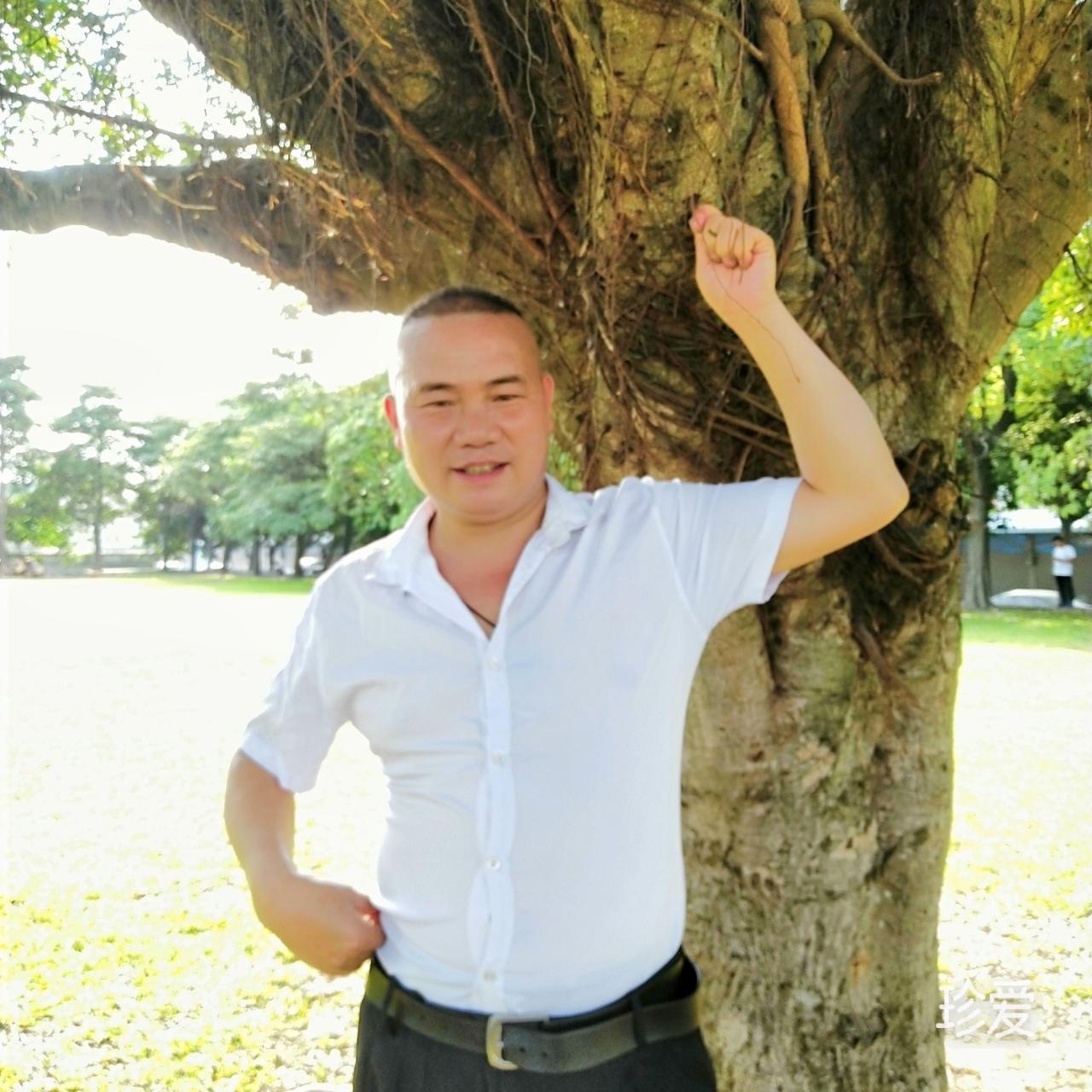 小柏