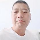 楊帆起航