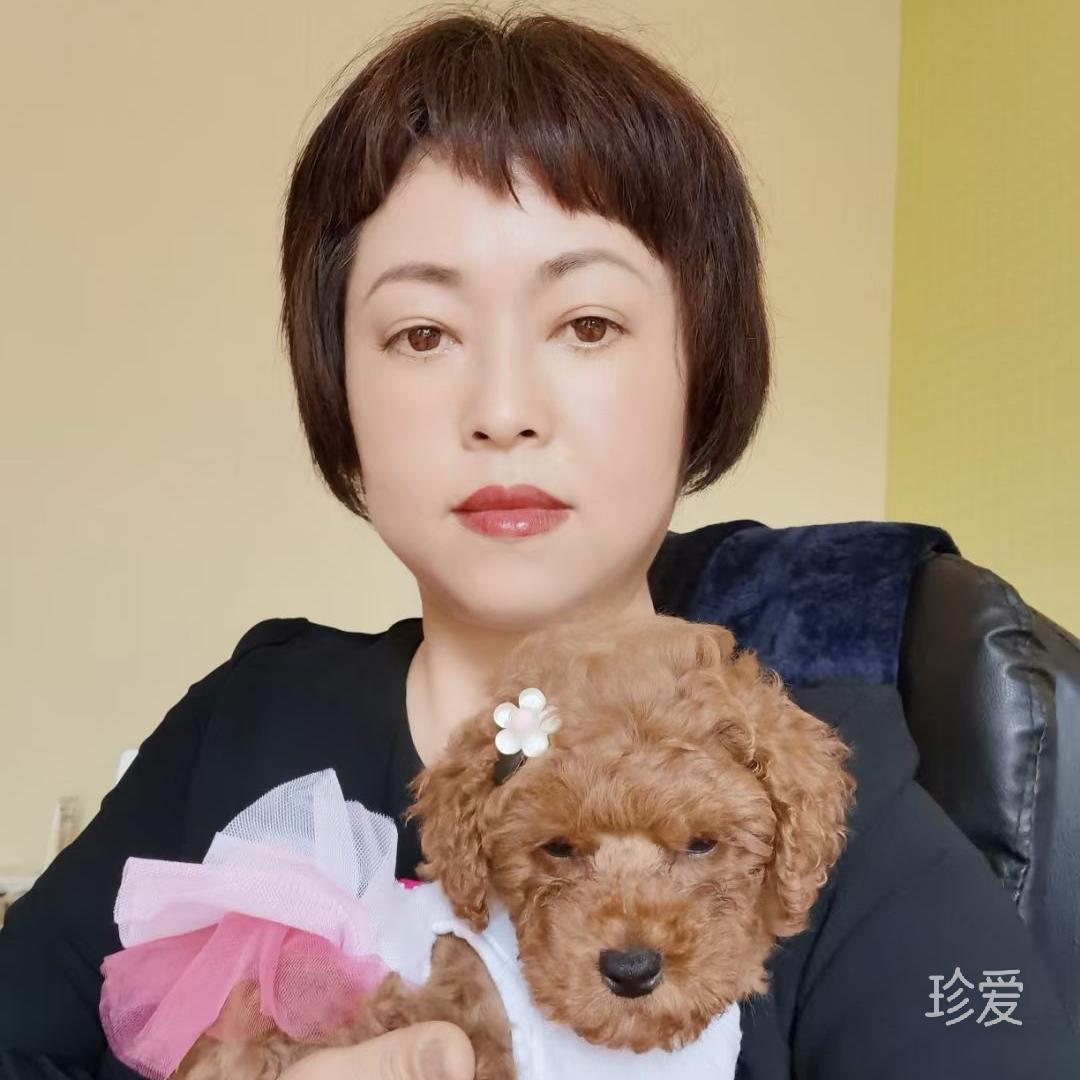 安妮