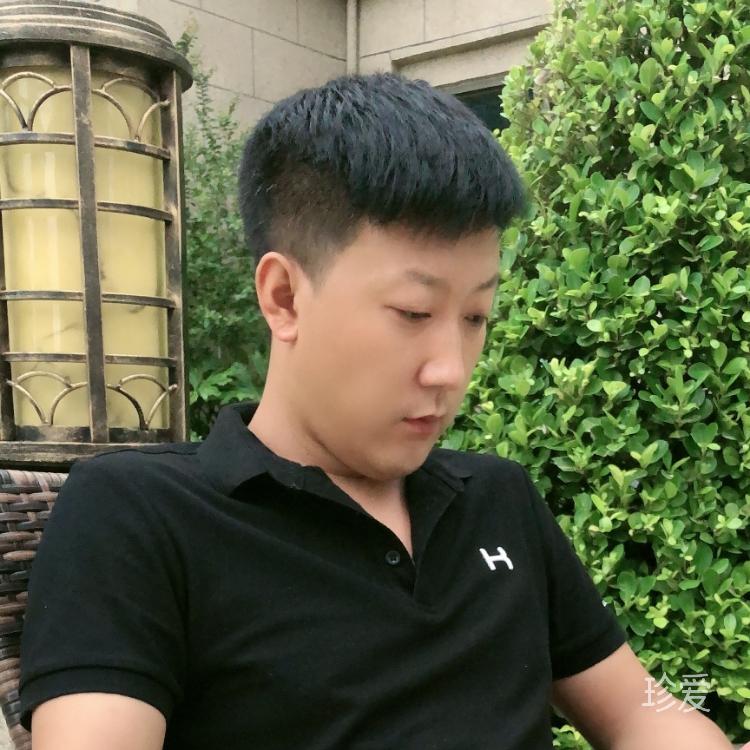 鹏飞