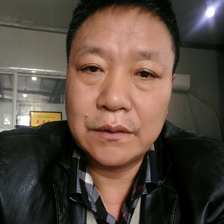 為愛尋找一個港灣