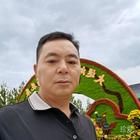 孤獨(dú)的狼